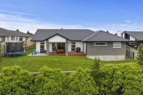 Photo of property in 51 Hastings Road, Pyes Pa, Tauranga, 3112