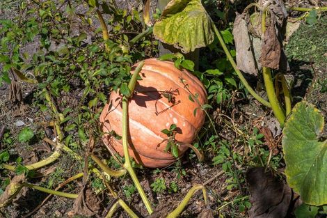 Photo of property in 33 Rainbow Drive, Atawhai, Nelson, 7010