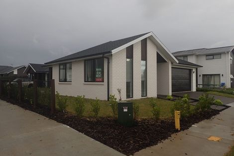 Photo of property in 13 Avian Place, Flagstaff, Hamilton, 3210