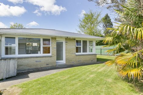 Photo of property in 6 Alice Place, Levin, 5510