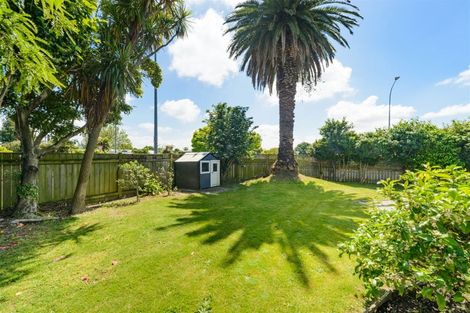 Photo of property in 42 Pitama Road, Awapuni, Palmerston North, 4412