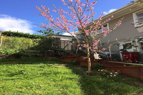 Photo of property in 36b Gibraltar Street, Howick, Auckland, 2014