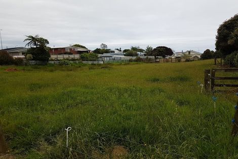 Photo of property in 18 Park Lane, Waitara, 4320