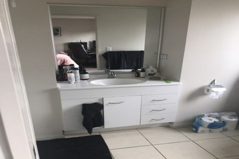 Photo of property in 19 Janway Avenue, Flat Bush, Auckland, 2016