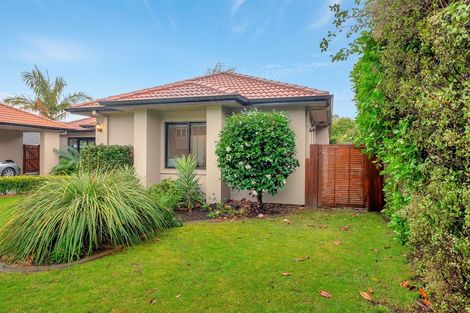 Photo of property in 4 Jarrah Park Drive, Pyes Pa, Tauranga, 3112
