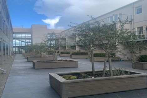 Photo of property in Luxford Villas, 113/72 Herald Street, Berhampore, Wellington, 6023