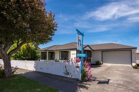 Photo of property in 45 Weld Street, Redwoodtown, Blenheim, 7201