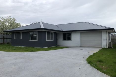 Photo of property in 17a Solway Street, Levin, 5510