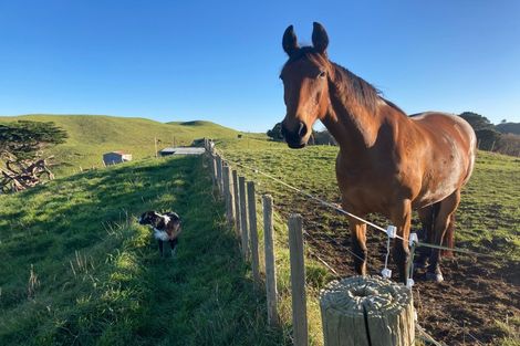 Photo of property in 453 Karioitahi Road, Karioitahi, Waiuku, 2683