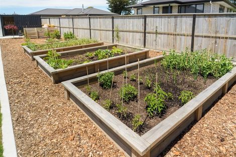 Photo of property in 19 George Street, Bulls, 4818