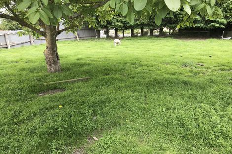 Photo of property in 146 Springfield Road, Milton, 9292