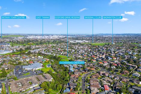 Photo of property in 12 Channing Crescent, Botany Downs, Auckland, 2010