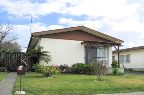 Photo of property in 22 Freyberg Avenue, Tamatea, Napier, 4112