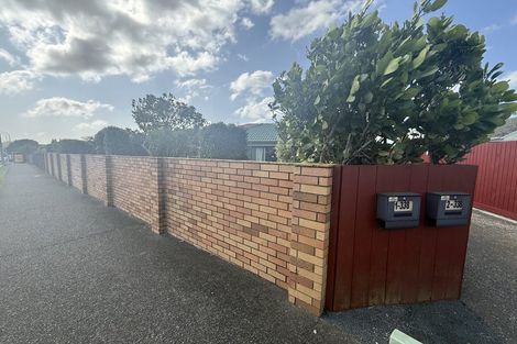 Photo of property in 1/338 Mount Albert Road, Mount Roskill, Auckland, 1041