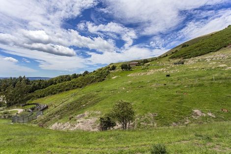 Photo of property in 233 Glentui Bush Road, Glentui, Oxford, 7495