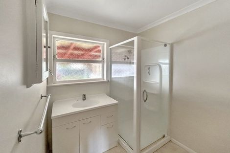 Photo of property in 29 Bledisloe Street, Levin, 5510