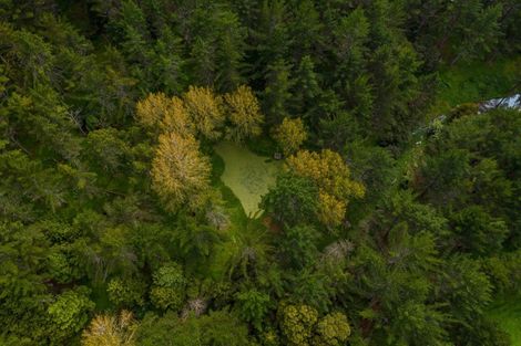 Photo of property in 1048 Otangaroa Road, Kaeo, 0479