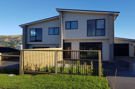 Photo of property in 138a John Burke Drive, Aotea, Porirua, 5024