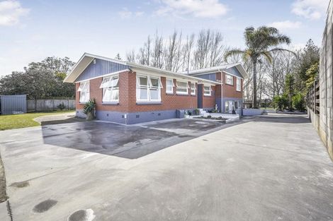 Photo of property in 125 Fitzroy Avenue, Fitzroy, Hamilton, 3206