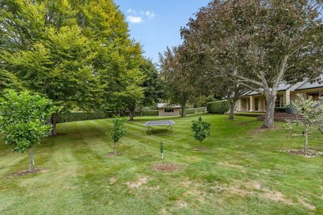 Photo of property in 8 Fieldhouse Lane, Matamata, 3400