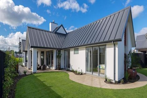 Photo of property in 17 Rore Street, Motueka, 7120