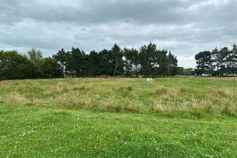 Photo of property in 156 Kawakawa Road, Feilding, 4775