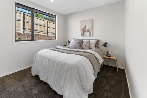 Photo of property in 43 Hart Road, Richmond, 7020