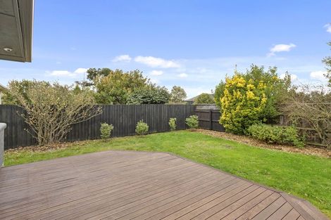 Photo of property in 123 Harewood Road, Papanui, Christchurch, 8053