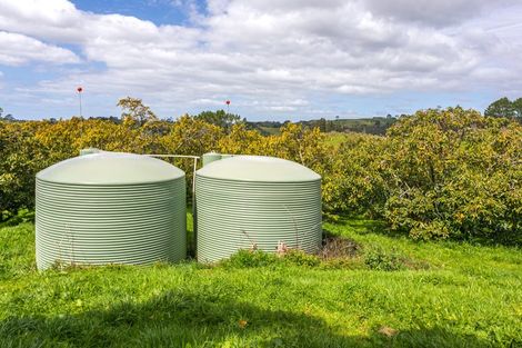 Photo of property in 231 Walford Road, Aongatete, Katikati, 3181