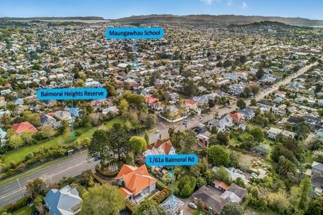 Photo of property in 1/61a Balmoral Road, Mount Eden, Auckland, 1024