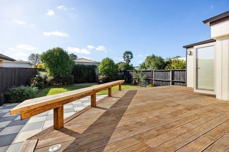 Photo of property in 11 Park Terrace, Hamilton Central, Hamilton, 3204