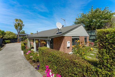 Photo of property in 602a Ferguson Street, Terrace End, Palmerston North, 4410