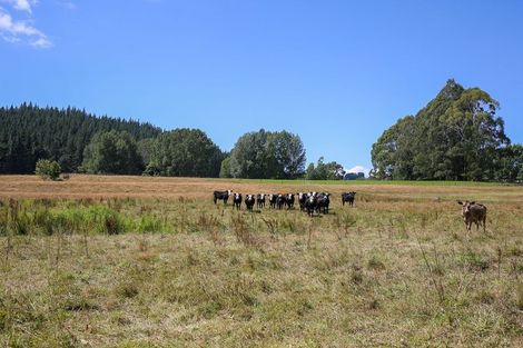 Photo of property in 538 Waiwhero Road, Ngatimoti, Upper Moutere, 7175