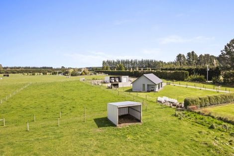 Photo of property in 1136 Poyntzs Road, Eyrewell, Rangiora, 7476