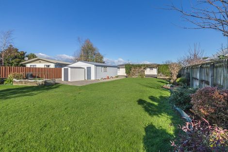 Photo of property in 31 Rimu Street, Levin, 5510