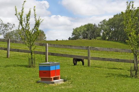 Photo of property in 56 Wattle Lane, Kaiwaka, 0573