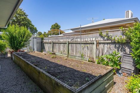 Photo of property in 16 Mckenna Street, Masterton, 5810