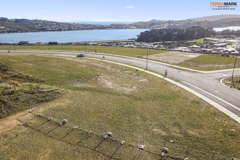 Photo of property in 65 Queen Charlotte Drive, Aotea, Porirua, 5024
