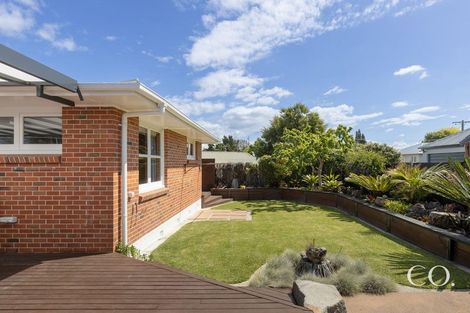 Photo of property in 64 Twentysecond Avenue, Gate Pa, Tauranga, 3112