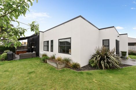 Photo of property in 17 Cole Thomas Place, Huntington, Hamilton, 3210