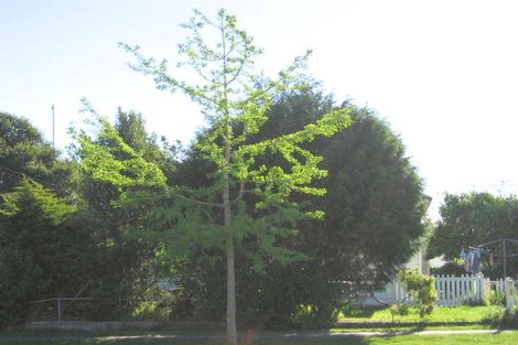 Photo of property in 28 Ormond Road, Whataupoko, Gisborne, 4010