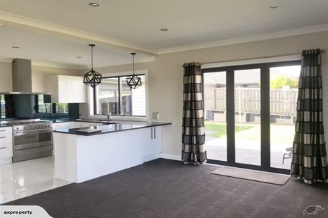 Photo of property in 16 Rigg Place, Flagstaff, Hamilton, 3210