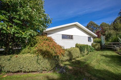 Photo of property in 8 Ameku Road, Raetihi, 4632