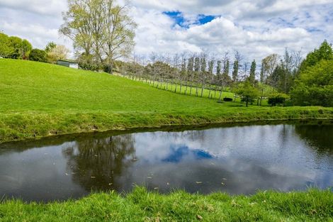 Photo of property in 64 Matakohe Road East, Matakohe, 0593