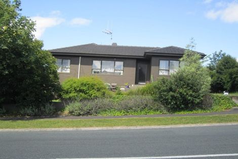 Photo of property in 22 Mansel Avenue, Hillcrest, Hamilton, 3216