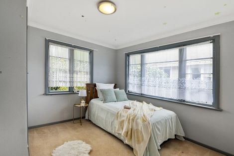 Photo of property in 36 Winchester Street, Levin, 5510