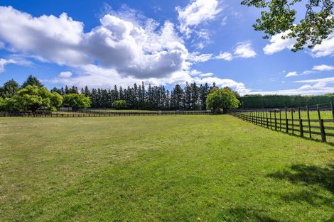 Photo of property in 248 Pencarrow Road, Tamahere, Hamilton, 3283