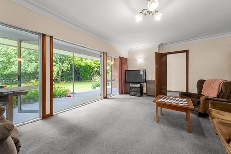 Photo of property in 119 Ringer Road, Tauwhare, Hamilton, 3287