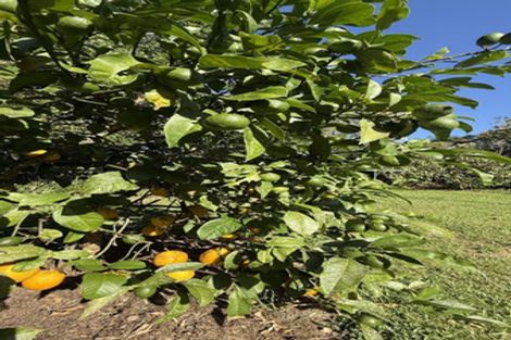 Photo of property in 290 Paihia Road, Kawakawa, 0282