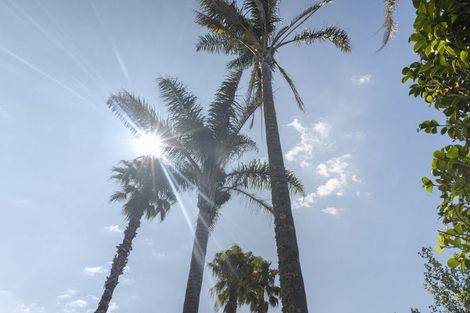 Photo of property in 23 Dan Tori Place, Orewa, 0931